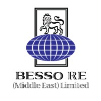 Besso Re (Middle East) Ltd logo - Similar company to Democrance