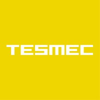 Tesmec - Rail Integrated Systems logo - Similar company to Tesmec Group