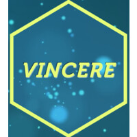Vincere Solutions logo - Similar company to Vincere Marketing Solutions