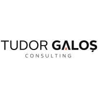 Tudor Galos Consulting logo - Similar company to Getonmobile.Com