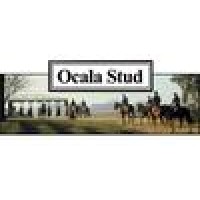 Ocala Stud logo - Similar company to Getviews - Live Streamings