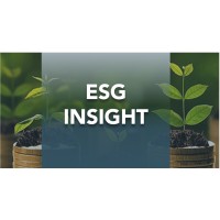 ESG Insight logo - Similar company to Bandiera.Eu