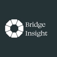 Bridge Insight logo - Similar company to Totbits Solutions Sl