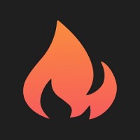 Fireship logo - Similar company to Quantpedia.Com