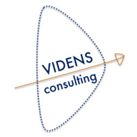 Videns Consulting logo - Similar company to Kipina Bg Ltd