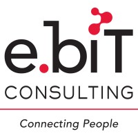 e.biT Consulting logo - Similar company to E-Bits