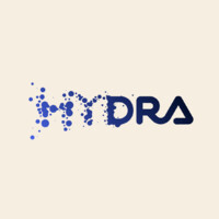 Hydra logo - Similar company to Hydra-Software-Services