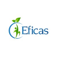 C.EFICAS logo - Similar company to C2Rt