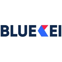 BlueKei Solutions Pvt Ltd logo - Similar company to Meshba Solutions Llp