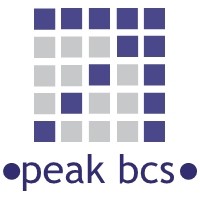 PEAK BCS VENTURES INDIA PRIVATE LIMITED logo - Similar company to Spr P.C.