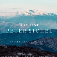 Domaine Peter Sichel logo - Similar company to Ediswine