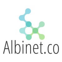 Albinet.co logo - Similar company to Albinet - Digital Innovation