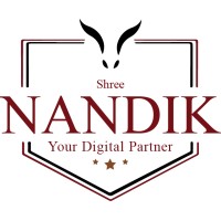 Shree Nandik Technologies logo - Similar company to Prospect Info Solution