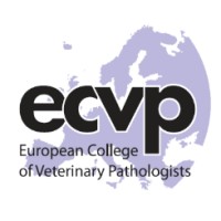 European College of Veterinary Pathologists (ECVP) logo - Similar company to Finn Pathologists