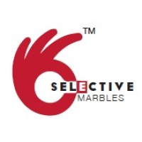 Selective Marbles LLP logo - Similar company to Mascot Infra Projects Llp