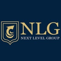 Next Level Group logo - Similar company to Meliva Vårdcentral Söderdoktorn