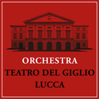 Orchestra Teatro Giglio Lucca logo - Similar company to Comune Di Viareggio