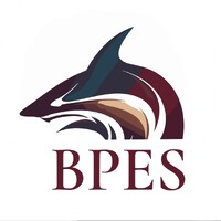 Bristol Private Equity Society logo - Similar company to Bristol Fintech Society