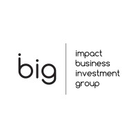 Impact Business Investment Group (iBig) logo - Similar company to Shur