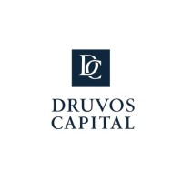 Druvos Capital and Consulting logo - Similar company to Teen Tutor