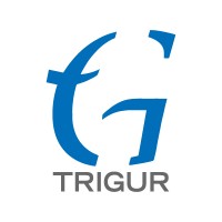 Trigur Electronics India Pvt. Ltd. logo - Similar company to Trigur Electronics India Private Limited