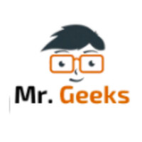 Mr Geeks logo - Similar company to Direct Geeks