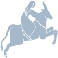 Seilern International AG logo - Similar company to Bitmap Holdings
