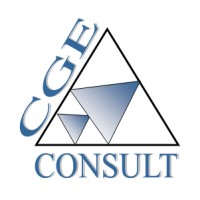 CGE-CONSULT logo - Similar company to Ft Development Group