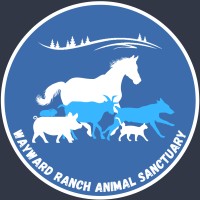 Wayward Ranch Animal Sanctuary logo - Similar company to Chickenish