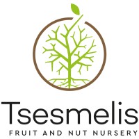 Tsesmelis Fruit & Nut Nursery logo - Similar company to Kitantzis Plants Sa