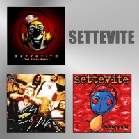 Settevite logo - Similar company to Noisefeed