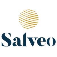 Salveo logo - Similar company to Stratinfo