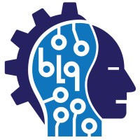 BLG SISTEM ROBOTIC logo - Similar company to Inorobotics
