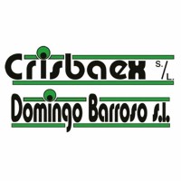 F.D.A Domingo Barroso / Crisbaex S.L logo - Similar company to Jaloglass