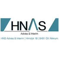 Hns Advies En Interim