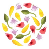 ABILIA. COSMETICA BIO logo - Similar company to Pumar Studio