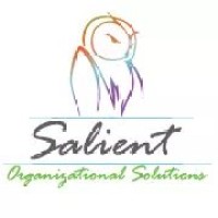 Salient Organizational Solutions logo - Similar company to Lead Advisory Group