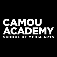 Camou Academy of Media Arts logo - Similar company to Smart Multimedia Design
