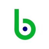 Bold CFO Solutions logo - Similar company to Canyon Operating, Llc