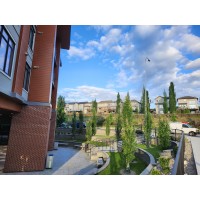 Evergreen Services logo - Similar company to Evergreen Services