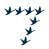 7Geese logo - Similar company to Newton Software