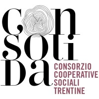 Consolida scs logo - Similar company to Moldova.Org