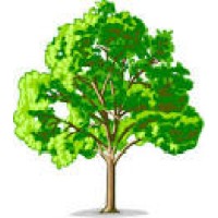 CASTANEA SERVICES LIMITED