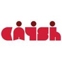 CAYSH logo - Similar company to One Integrate Solutions