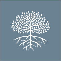 NoVo Foundation logo - Similar company to Nicole Buffett Studios