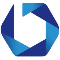 Blu Electro logo - Similar company to Caera As