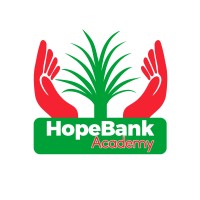 HopeBank Academy logo - Similar company to Keinagroup