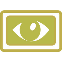 Viseum® Community SafetyWatch® - Safe Cities for everyone to live and work safe and secure logo - Similar company to Cctv Cameras
