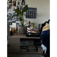 Social Martyr logo - Similar company to Organised Wright