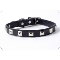 pets logo - Similar company to Pets